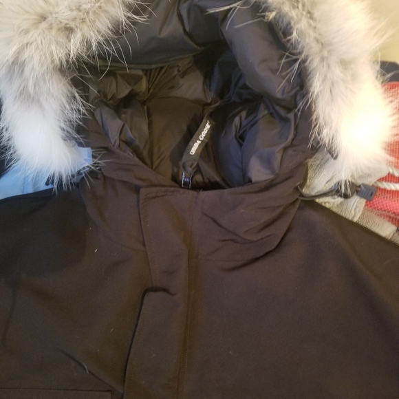 Canada goose expedition - Picture 1 of 9